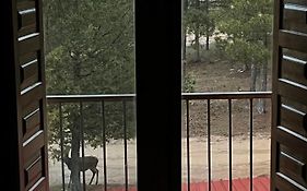 Hostal Ciudad Encantada